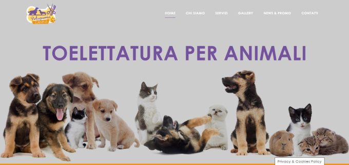 Peluqueria Canina &#8211; Toelettatura cani e gatti &#8211; Legnano e provincia di Milano